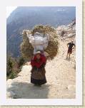 15April05 - One of the many porters * Some old bat (lady) walking up the Everest trail with a shitload of crap on her back. Andy in the background going, 